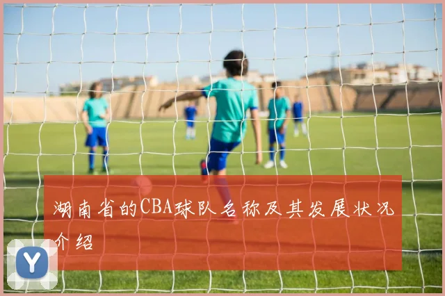 湖南省的CBA球队名称及其发展状况介绍
