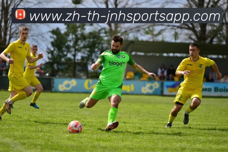 金年会体育平台生态图